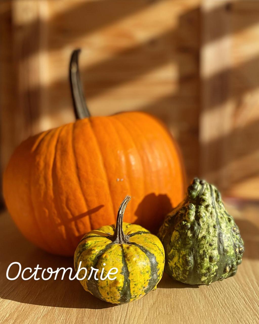 OCTOMBRIE 2024